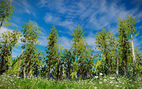 Pine Forest Plant Trees Pine Tree Flowers Forest Scene 3d model