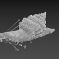 Detailed Reptile Snail With Spiral Textured Shell And Long Tentacles On Black Background