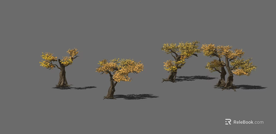 Yellow Leaf Shrubs with Thick Trunks Casting Shadows on Gray Background 3d model 