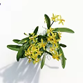 Delicate Fresh Yellow Orchids Blooming With Vibrant Green Leaves In Lush Arrangement