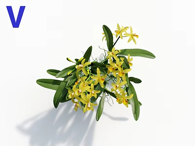 Delicate Fresh Yellow Orchids Blooming With Vibrant Green Leaves In Lush Arrangement 3d model