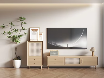 Minimalist Wooden TV Stand with Wall Mounted TV Green Plant and Decorative Frames 3d model