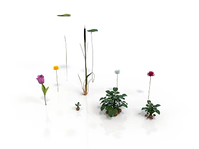 Colorful Flowers And Green Potted Plants With Long Stems On White Background 3d model