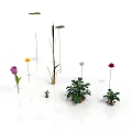 Colorful Flowers And Green Potted Plants With Long Stems On White Background