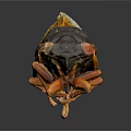 Cicada Recently Molted Exoskeleton With Transparent Wings And Detailed Body Structure 3d model