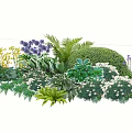 Colorful Garden With Purple Yellow Flowers Ferns Green Shrubs And White Blooms