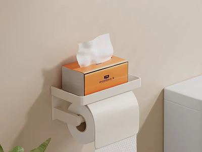 Modern Wall Mounted Bathroom Accessories With Toilet Paper Holder And Tissue Box 3d model