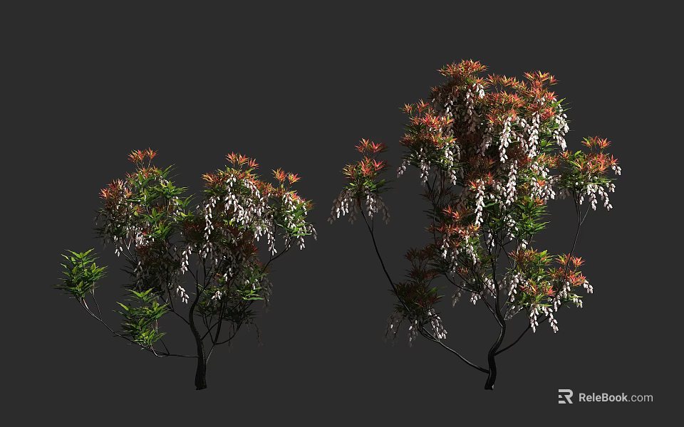 Lush Arbor Trees With Green Red Leaves White Flowers And Slender Branches 3d model 