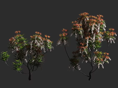 Lush Arbor Trees With Green Red Leaves White Flowers And Slender Branches 3d model