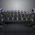 Black Dumbbell Rack With Neatly Arranged Multiple Weights For Fitness Training