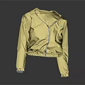 Yellow Lightweight Hooded Jacket With Zip Closure And Cuffed Sleeves 3d model