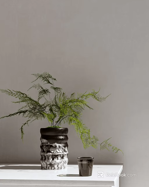 Bonsai Potted Plant With Green Fern Leaves And Black Textured Pot For Home Decoration 3d model 