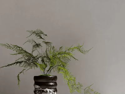 Bonsai Potted Plant With Green Fern Leaves And Black Textured Pot For Home Decoration 3d model
