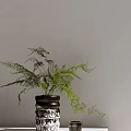 Bonsai Potted Plant With Green Fern Leaves And Black Textured Pot For Home Decoration
