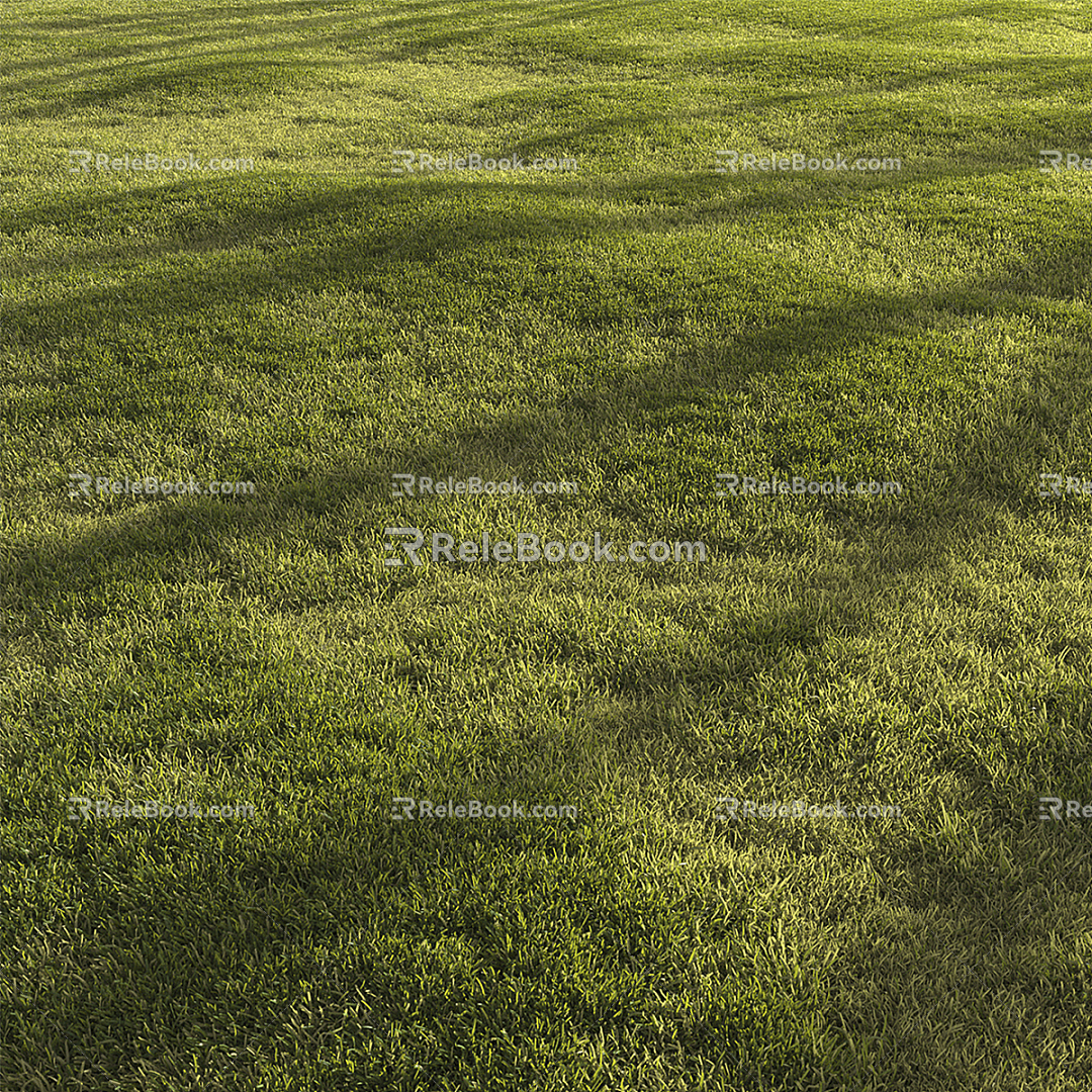 Modern Grass Green Lawn 3d model