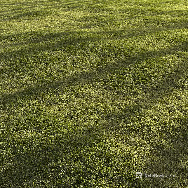 Lush Green Grass Field With Sunlight And Natural Shadows In Outdoor Setting 3d model 