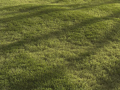 Lush Green Grass Field With Sunlight And Natural Shadows In Outdoor Setting 3d model