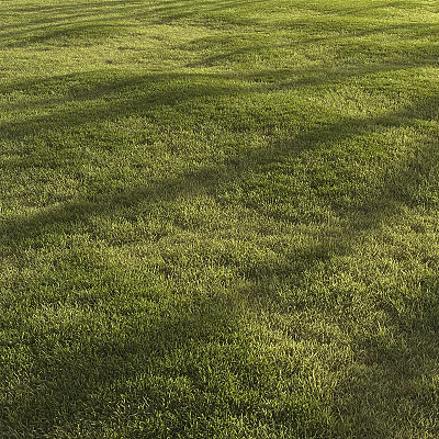 Lush Green Grass Field With Sunlight And Natural Shadows In Outdoor Setting 3d model