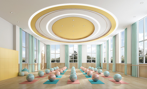 Modern Yoga Room Dance Room Function Room 3d model