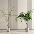 Potted Bonsai Plants with Green Foliage White Ceramic Pots and Modern Light Striped Wall Decor