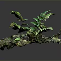 Detailed Miniature Natural Landscape Component With Lush Green Ferns And Mossy Covering