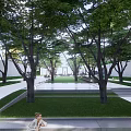 Modern Residential Landscape Entrance with Metal Grille Pathway Framing Green Plants and Sky