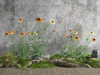 modern plants 3d model