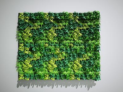 Modern Green Plant Wall Plant Wall 3d model