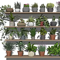 Indoor Multi Layer Shelf Display With Various Potted Green Plants And Ceramic Pots 3d model