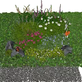 Vibrant Garden Flowers And Plants With Purple Pink Blooms Green Grass Stones And Butterfly