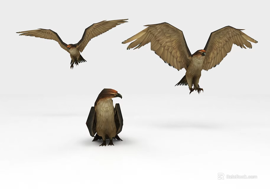 Three Eagles Flying and Perched with Spread Wings in Dynamic Postures 3d model 