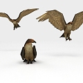 Modern Eagle Condor Game Character 3d model