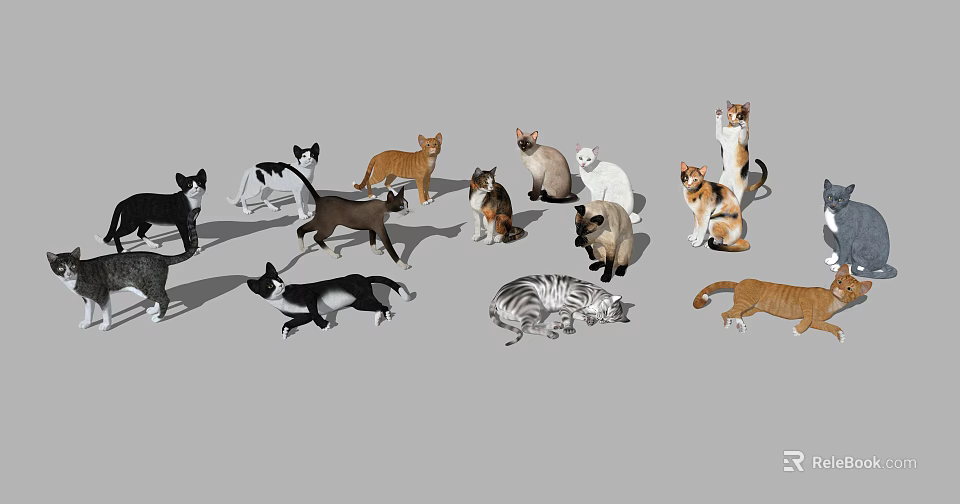 Diverse Colored Cats in Various Playful Poses Sitting Standing Lying 3d model 