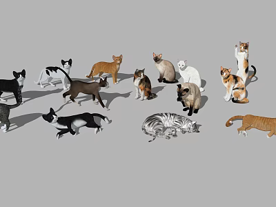 Diverse Colored Cats in Various Playful Poses Sitting Standing Lying 3d model