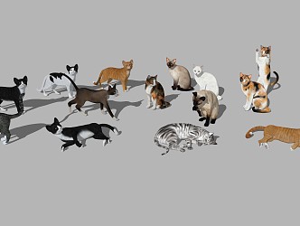 The Modern Cat 3d model