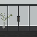 Elegant Sliding Glass Doors With Black Frame Frosted Glass And Green Plant