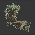 Unique Shaped Tree With Orange And Green Trunk Curved Branches Green Leaves Dark Background Reflection
