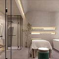 Modern SPA Sauna Interior With Comfortable Bed Mirror Shower Area And Green Plant