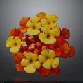 Vibrant Plant with Red and Yellow Flowers in Spherical Bloom Arrangement on Dark Background