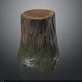 Natural Tree Stump Stool With Rough Wood Grain And Green Textured Base