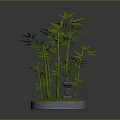 Tall Green Bamboo Plants With Small Lantern On Circular Green Base