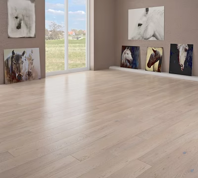 Light Colored Wooden Floor In Bright Room With Horse Paintings And Natural Window View 3d model