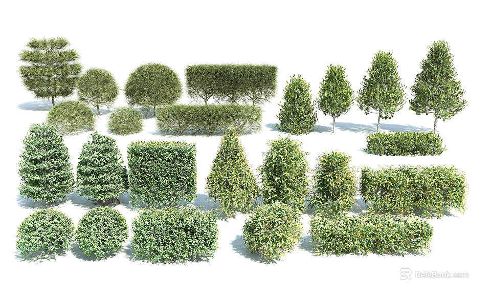 Diverse Assortment of Garden Shrubs with Various Shapes and Lush Green Foliage 3d model 