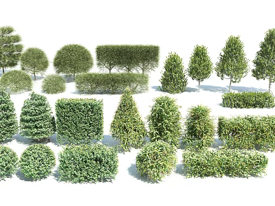 Diverse Assortment of Garden Shrubs with Various Shapes and Lush Green Foliage 3d model