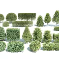 Diverse Assortment of Garden Shrubs with Various Shapes and Lush Green Foliage