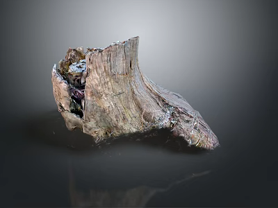 Arbor Tree Trunk Showcasing Natural Rough Texture And Detailed Wooden Structure 3d model