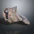 Arbor Tree Trunk Showcasing Natural Rough Texture And Detailed Wooden Structure