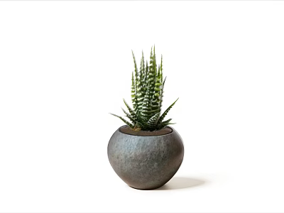 Modern Round Gray Ceramic Pot with Aloe Vera Plant on White Background 3d model