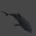 Great White Shark With Open Mouth Sharp Teeth In Deep Dark Ocean 3d model