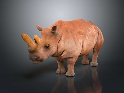 Reddish Brown Rhinoceros Standing With Two Horns On Gray Background And Reflection 3d model
